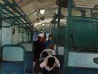 Clean India (18)