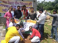 Independance Day (9)