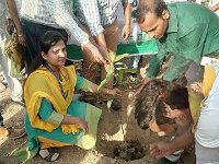 Skilled India (1)